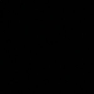 Meet your Posher, Ty